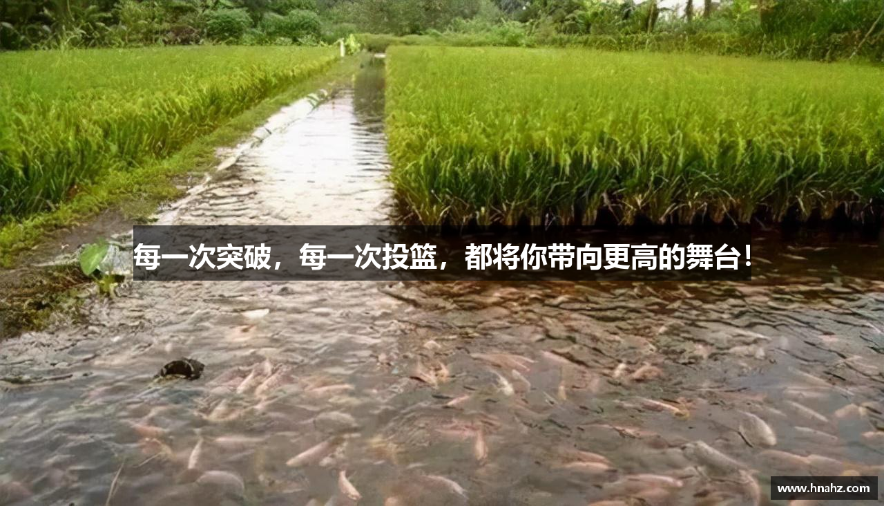 每一次突破，每一次投篮，都将你带向更高的舞台！